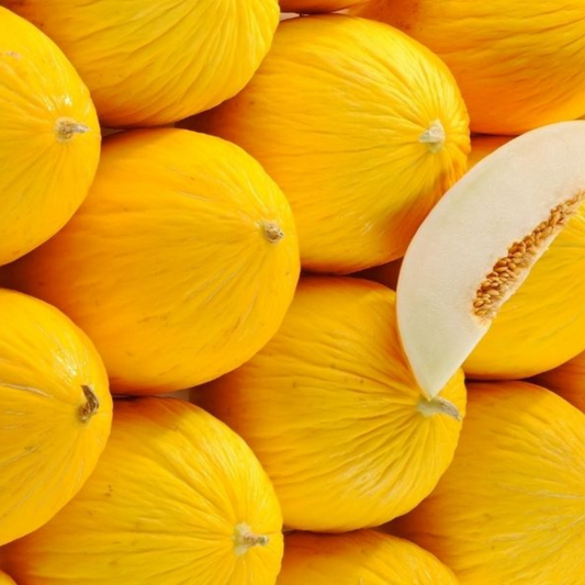 Melon jaune - Origine Algérie