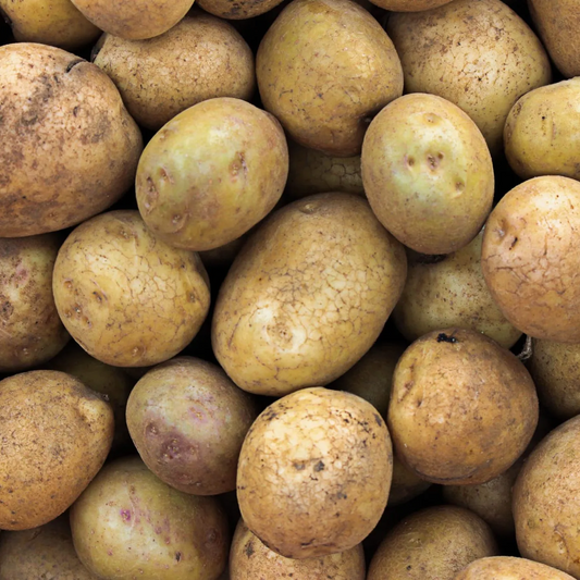 Pomme de terre - Origine Algérie